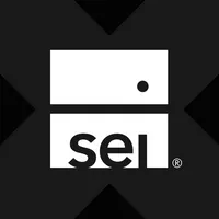 SEI Investments xStock