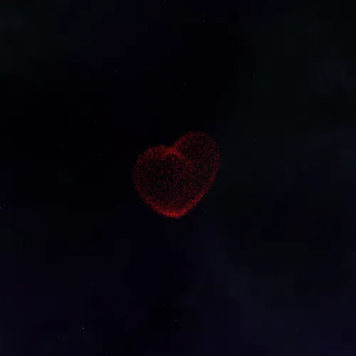 NFT Avatar