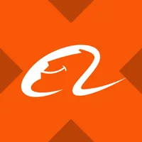 Alibaba xStock