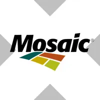 The Mosaic xStock