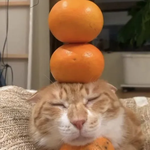 nft