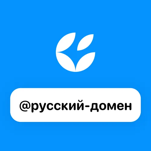 nft