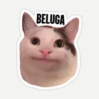 Beluga