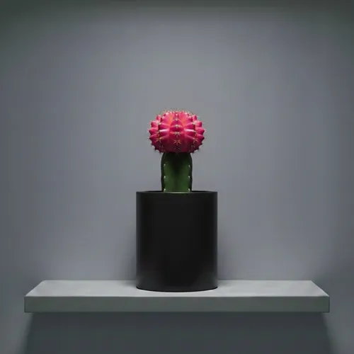 nft
