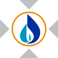 National Fuel Gas xStock