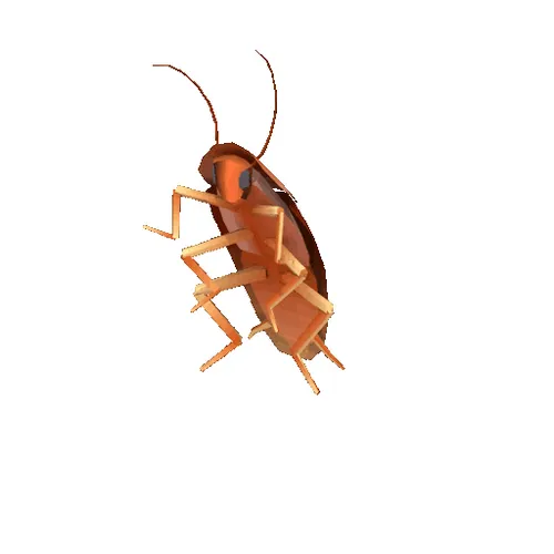nft
