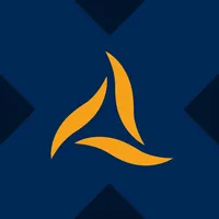 Kinsale Capital xStock
