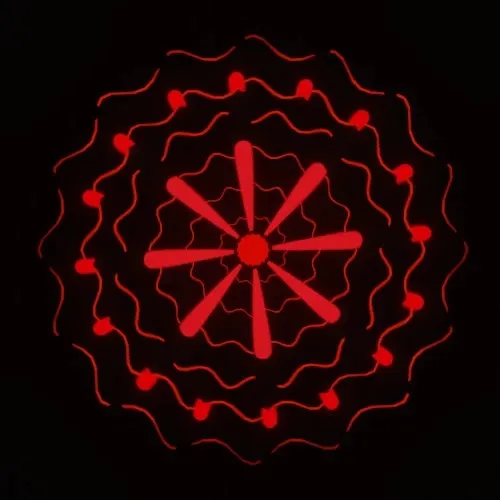 nft