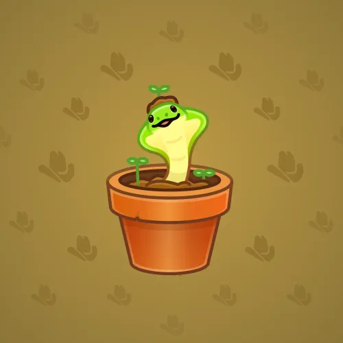 nft