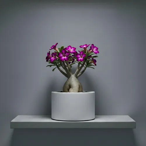 nft