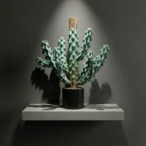 nft