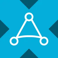 AppLovin xStock