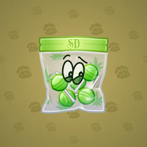 NFT Avatar