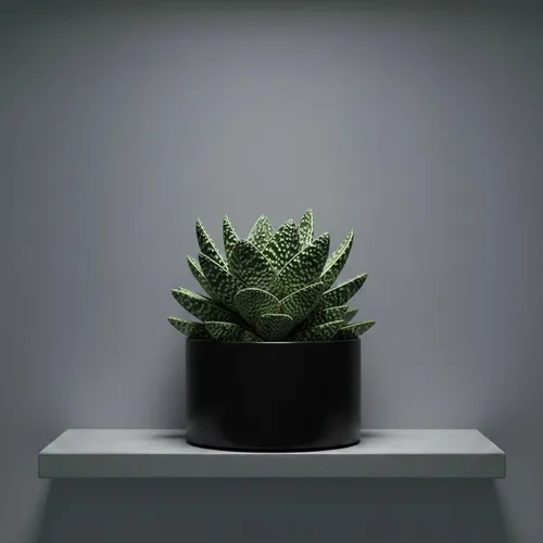 nft