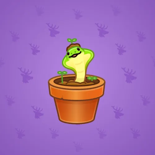 nft