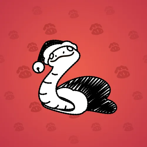 NFT Avatar