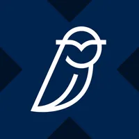 Blue Owl Capital xStock