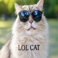 LOLCAT