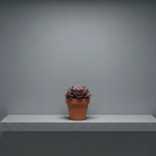 nft