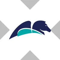 Pegasystems xStock