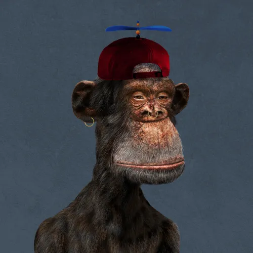 NFT Avatar