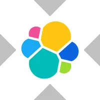 Elastic xStock