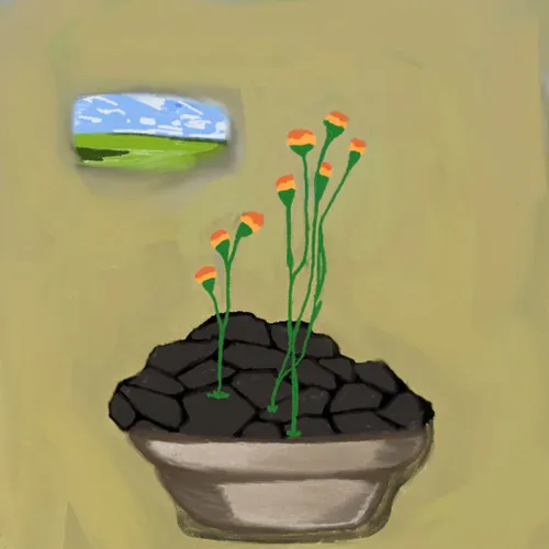 nft