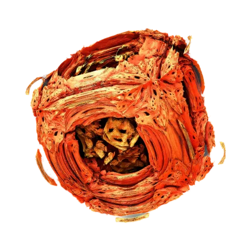 nft