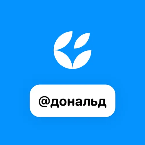 nft