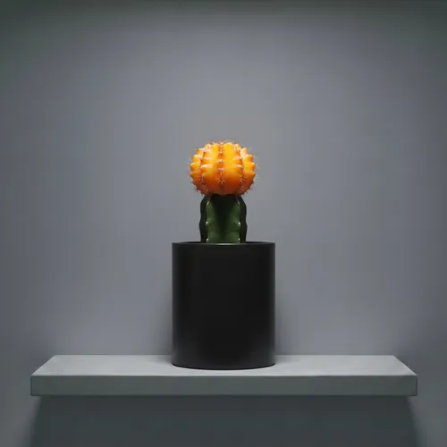 nft