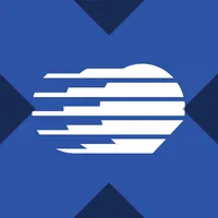 Cirrus Logic xStock