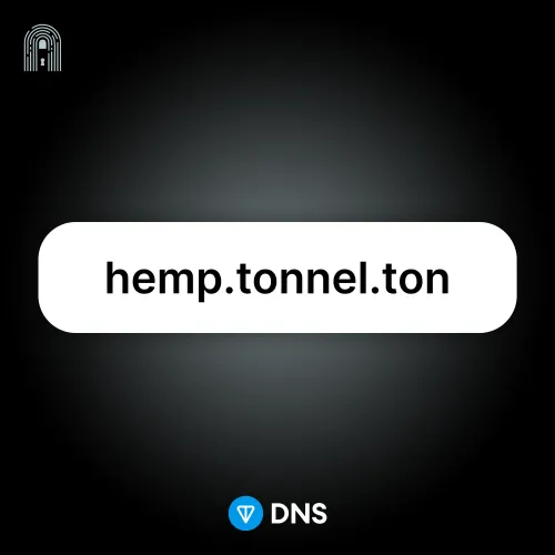 nft